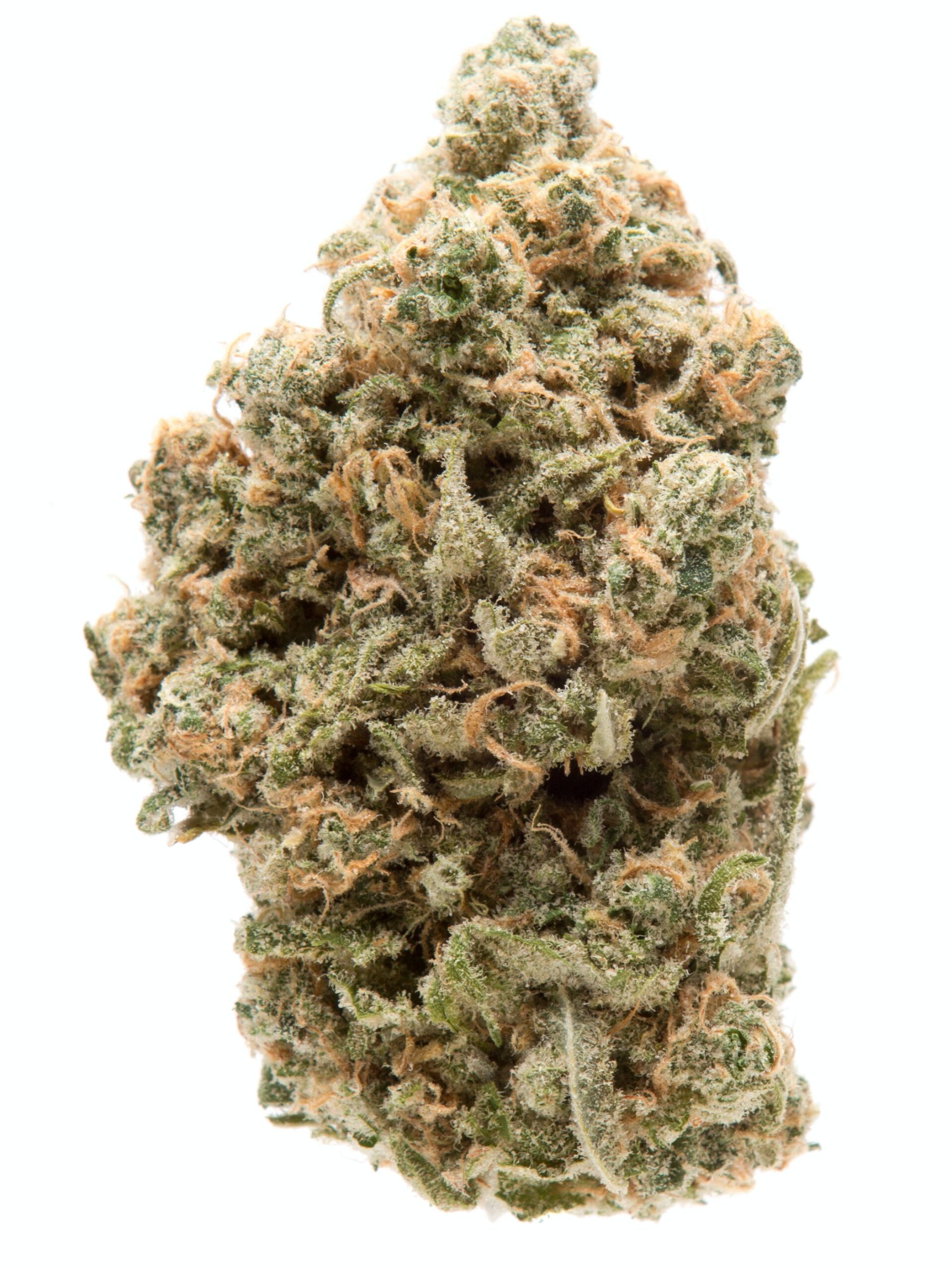 AAAA Platinum Dosidos Gelato By KOOTENAY Exotics
