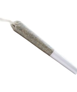 Alternative view of TOONIE DOOBIES (20/Pack) - Updated