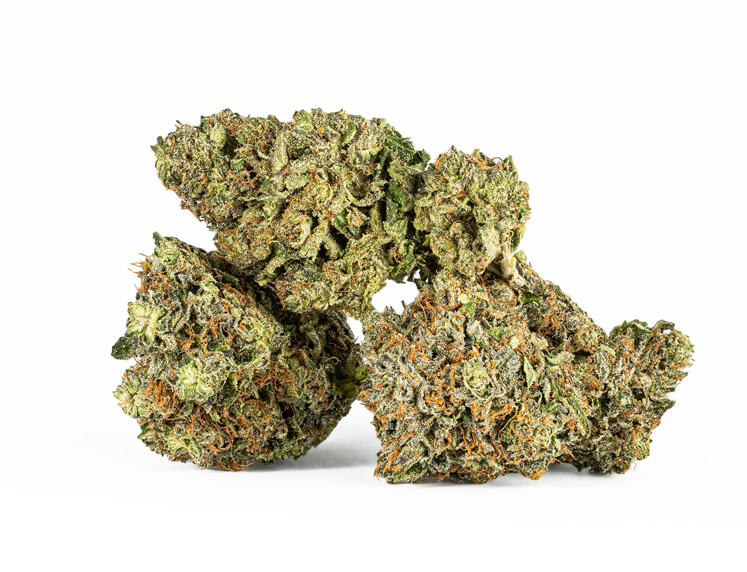 BC Legacy - El Jefe - Image 4