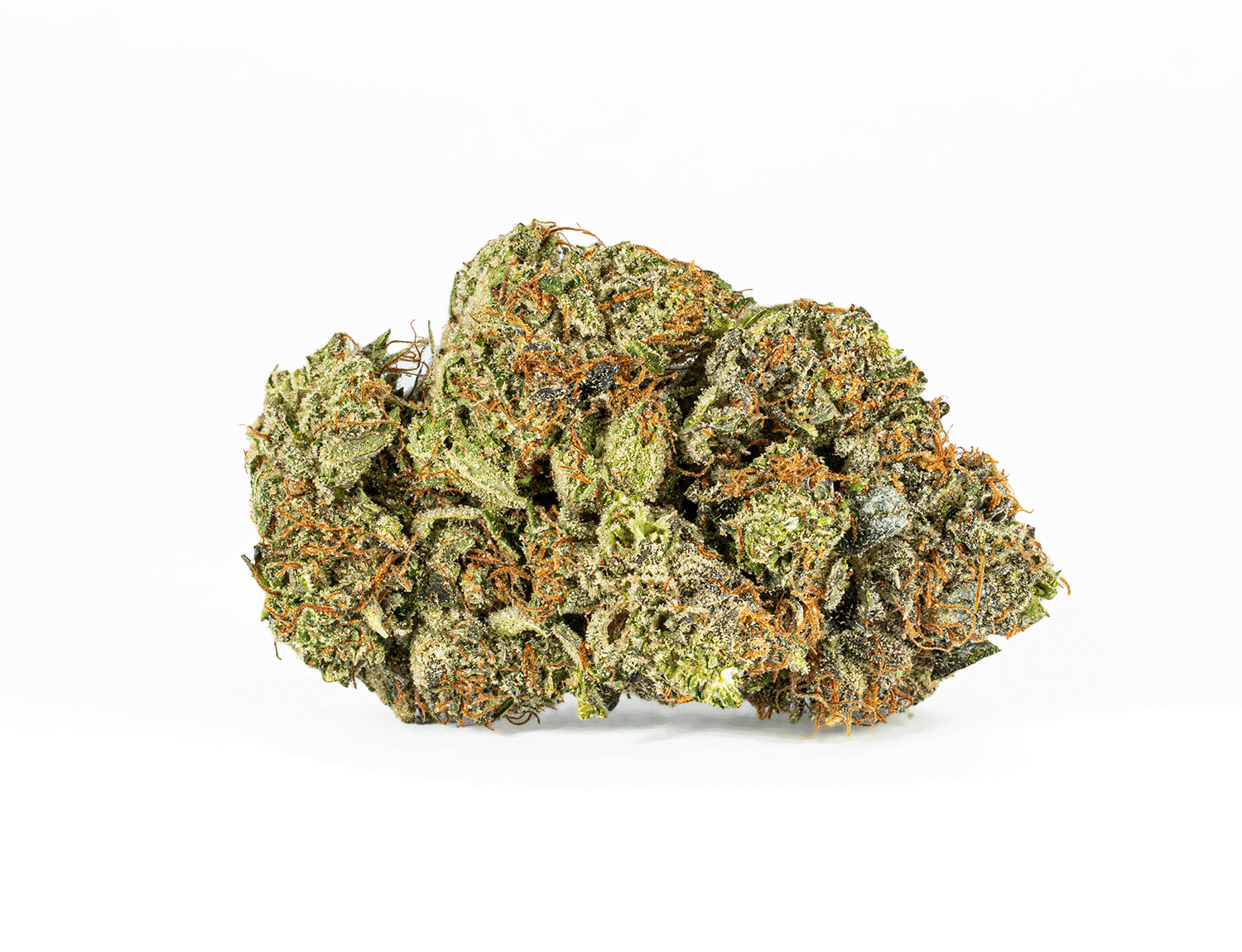 Bc Legacy - Georgia Pine - Image 2