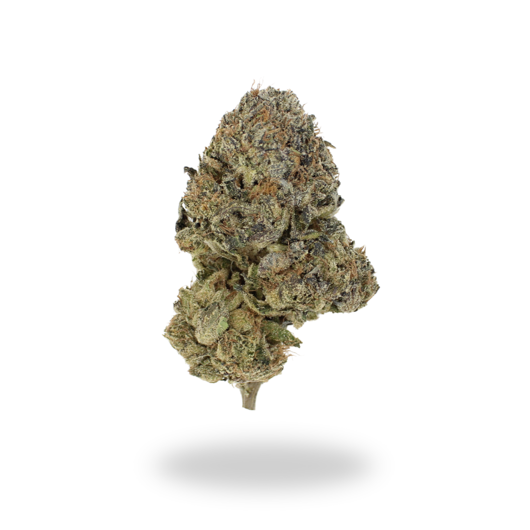 AA Gorilla Glue #4