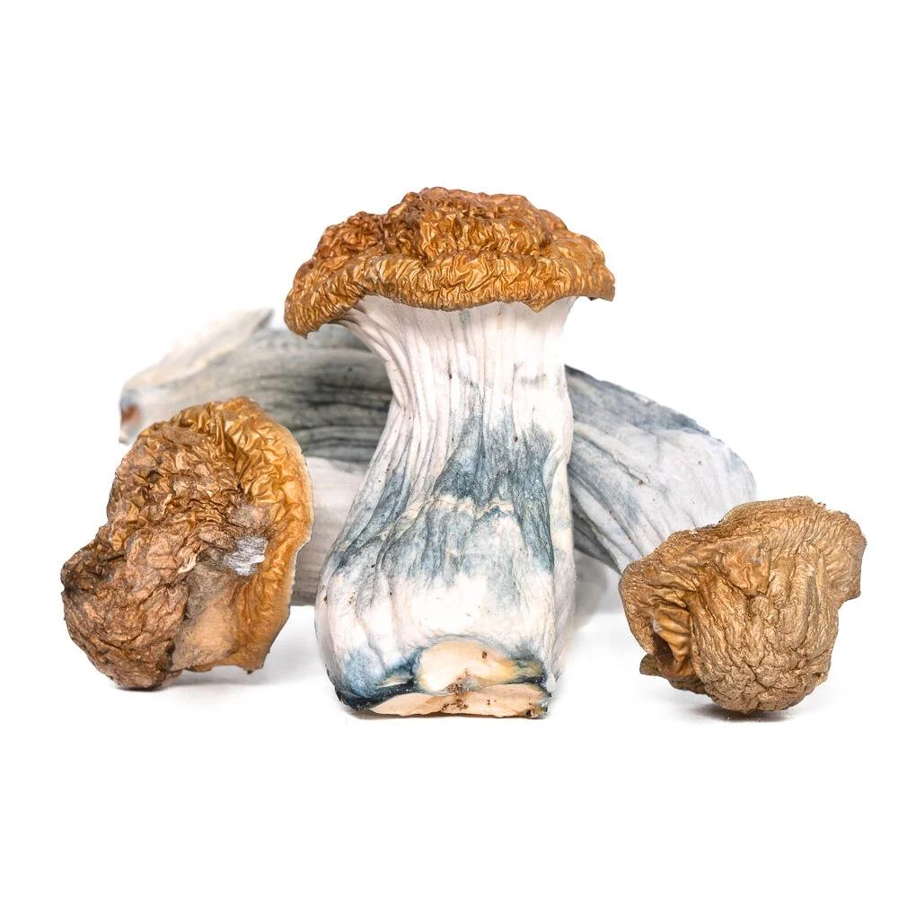 AAAA Trinity Mushroom