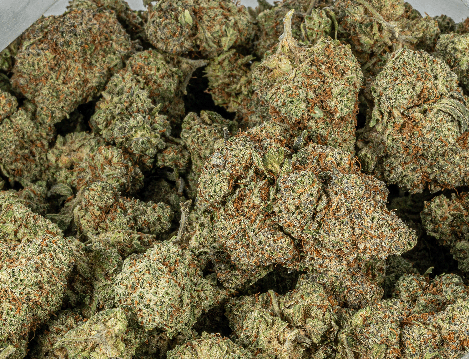 Astral Herbs - Ak-47 - Image 5