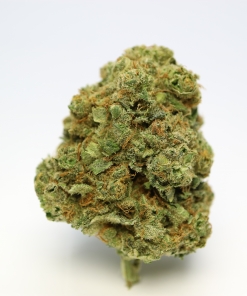 Romulan