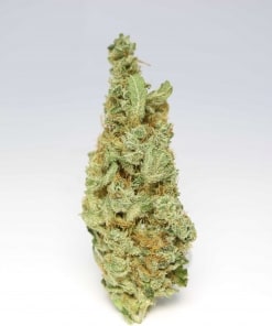 Organic Chocolope Kush