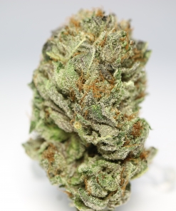 Purple Candy