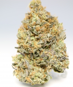 Lindsay OG