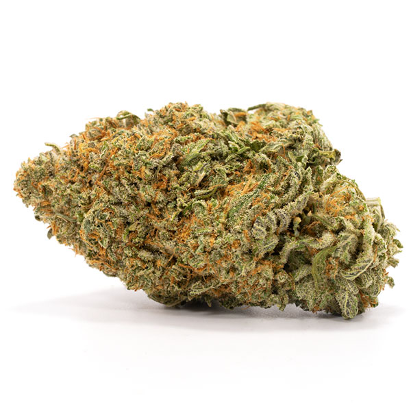 AAA Lindsay OG