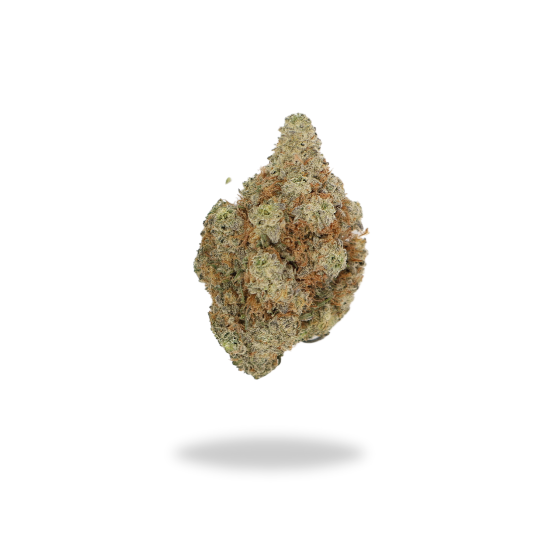 AAA Gelato 45