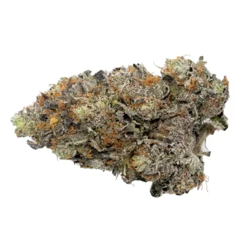 ⛽ AAAA MK Ultra - By Green Genetics
