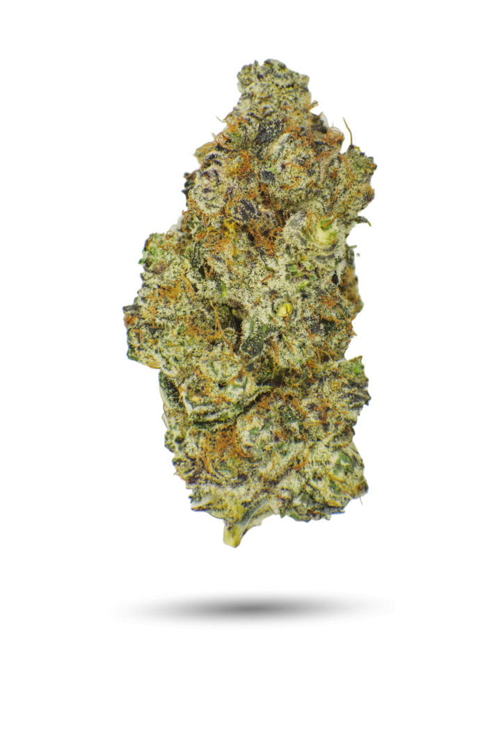 🏆 Cannabis Cup: AAAA Robo Cop
