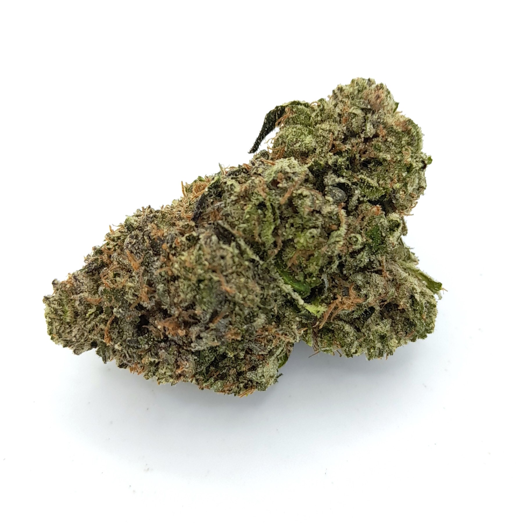 AAAA Beach Crasher By Jungle Boys
