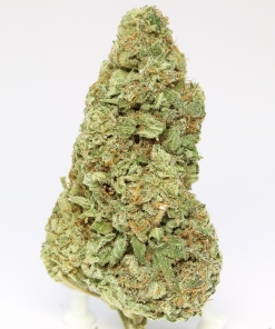Kush Bomb