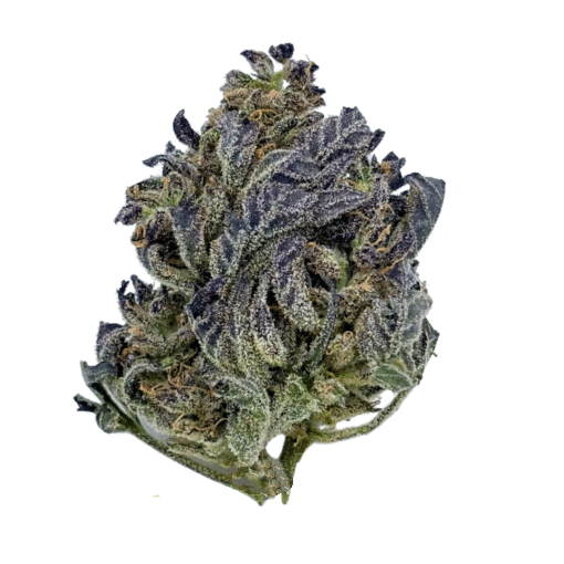 (A+) Purple Kush