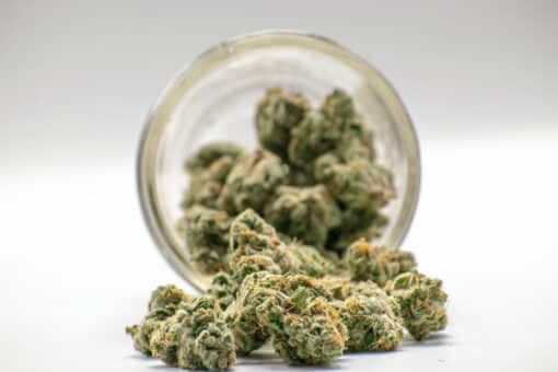 AAAA Lemon Zkittlez