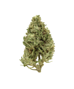 AA White Widow - Ounce Deals + Freebies