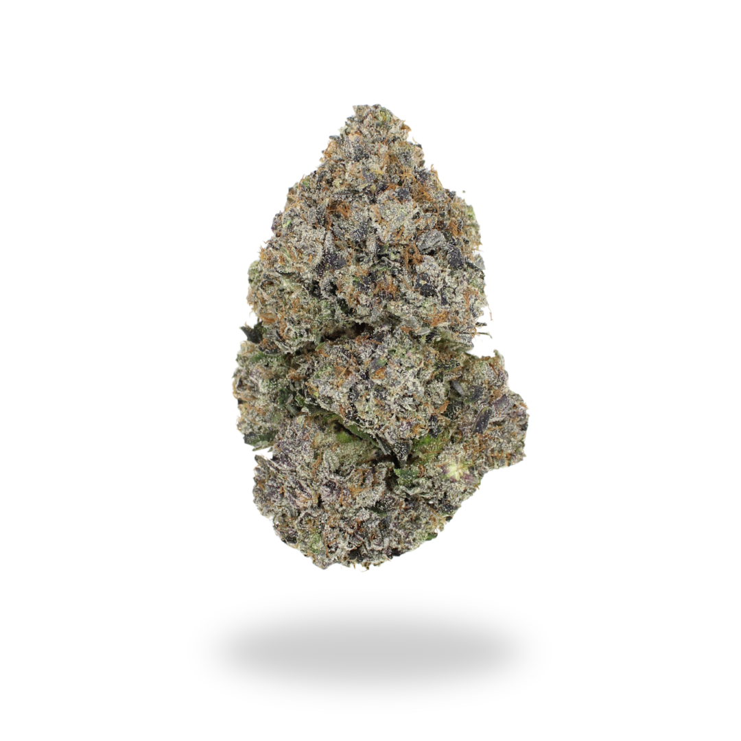 AAAA+ Lizard By Bubba Kings