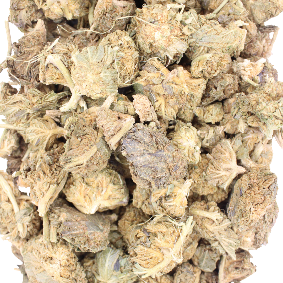 (A) Tangerine Dream: Ounce Deals + Freebies - Image 2