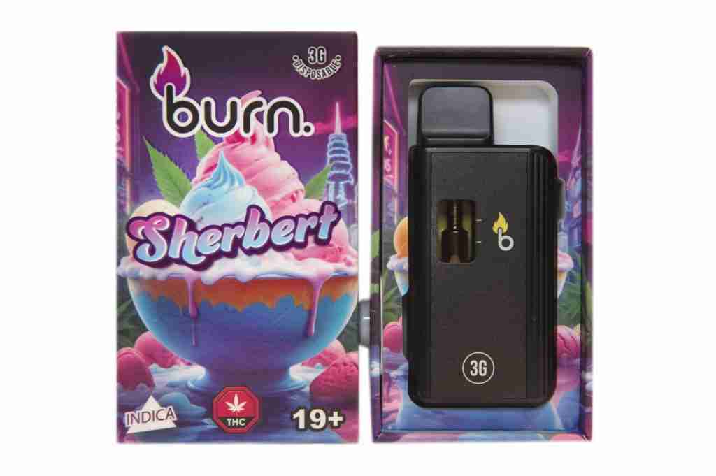 3 Gram Burn Disposable Vapes – Sherbet (indica)