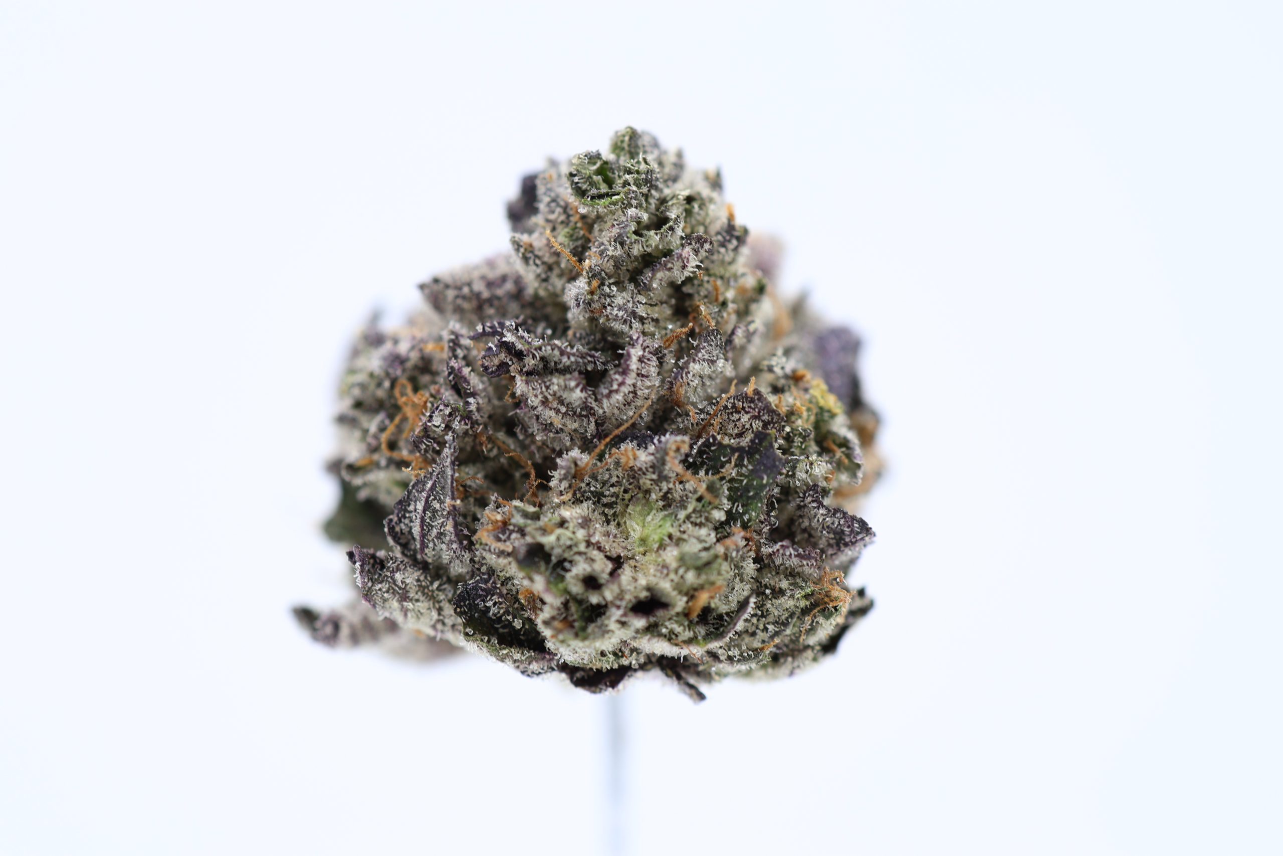 Death-cookies-online