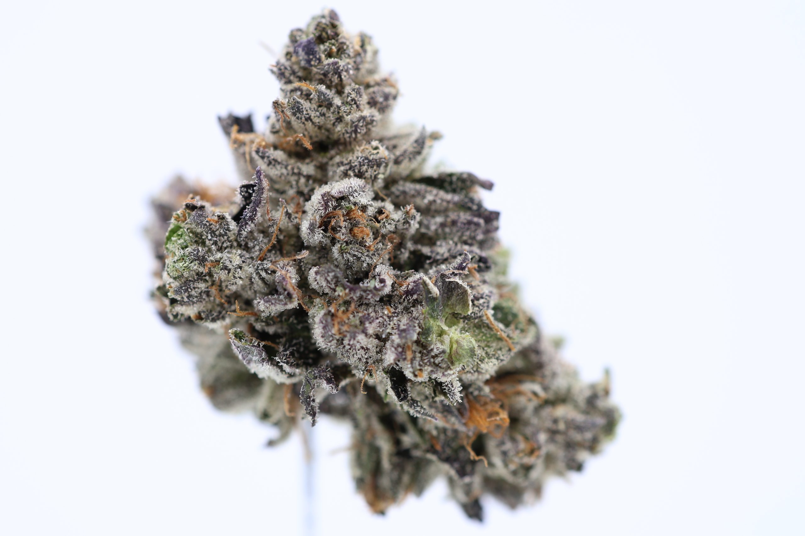Gram & Ounce Deal: AAAA Death Cookies Smalls by Bubba Kings - Image 3