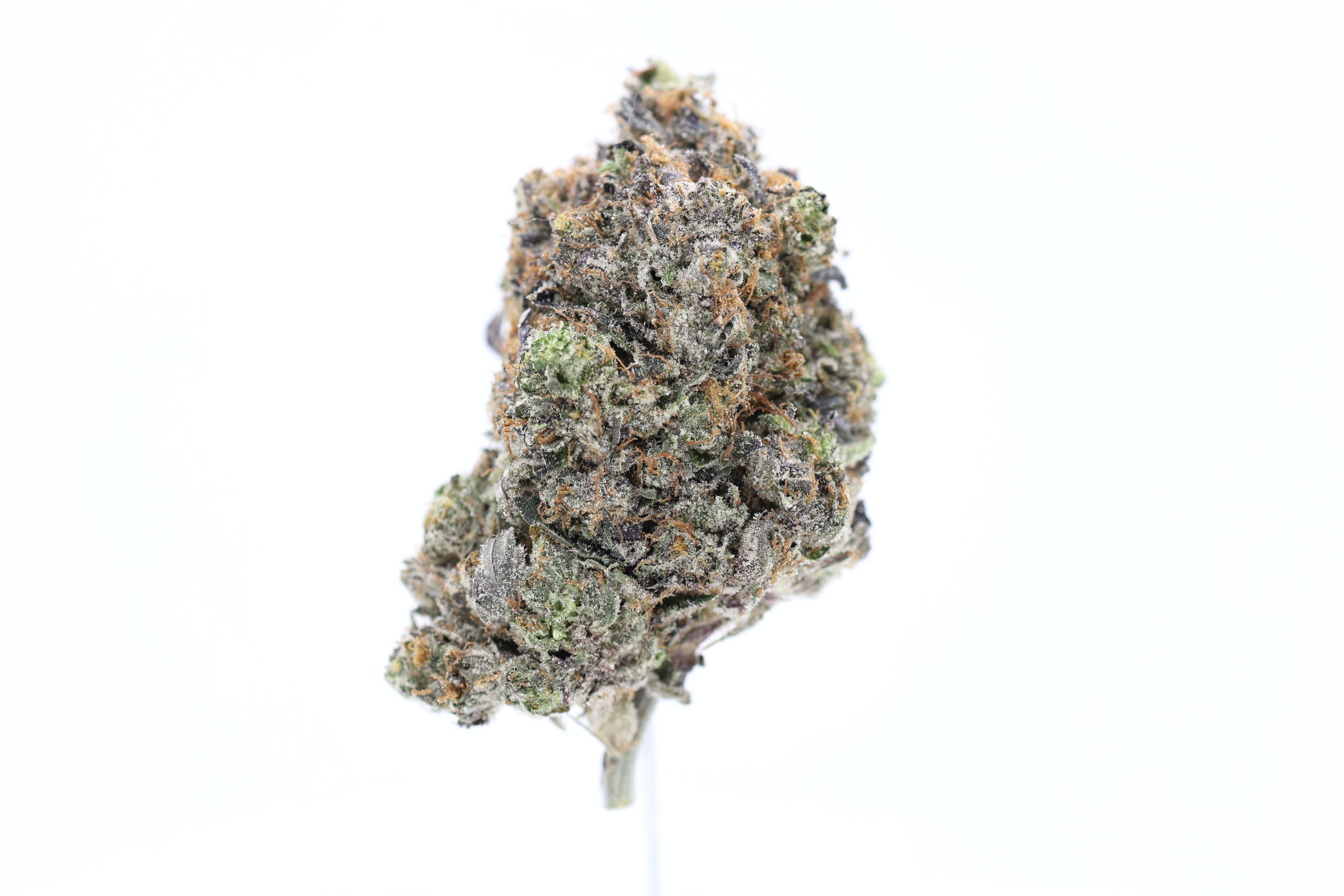 Gastopia-strain-gas-godz