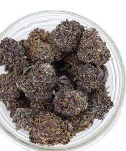 purple god strain