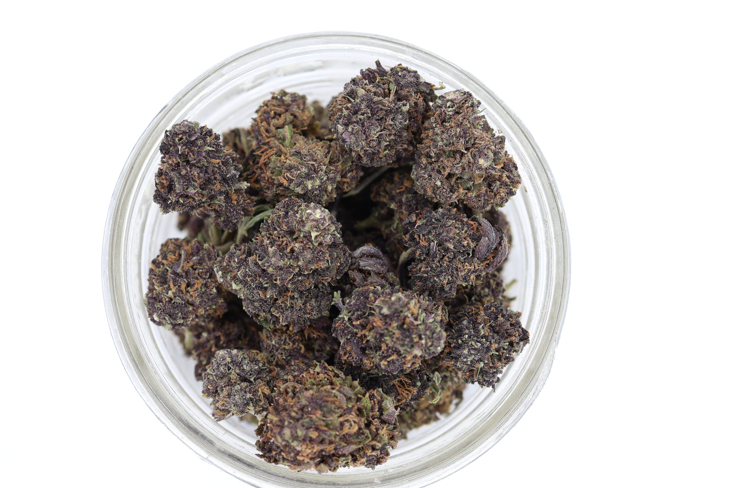 purple god strain