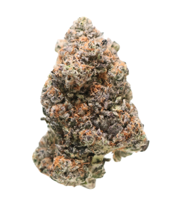 ⛽  AAAA Gator Breath by Jungle Boys