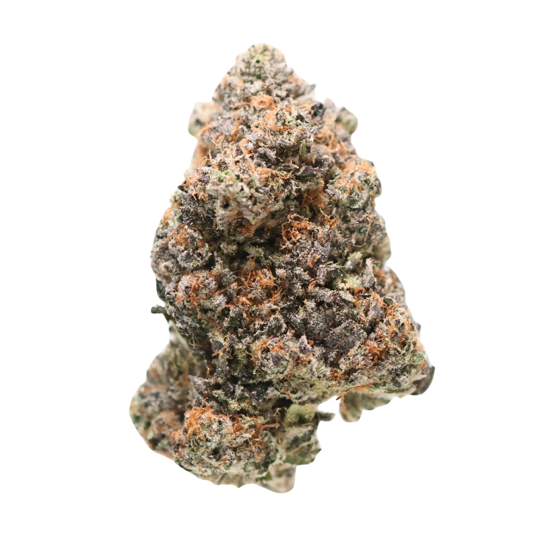 ⛽ AAAA Gator Breath by Jungle Boys