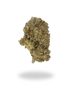 AA Blue Diesel