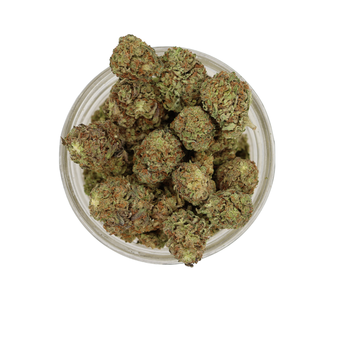 AA Alien Gorilla (DTW)