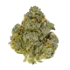 AA Gelato 33