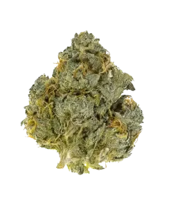 AA Gelato 33
