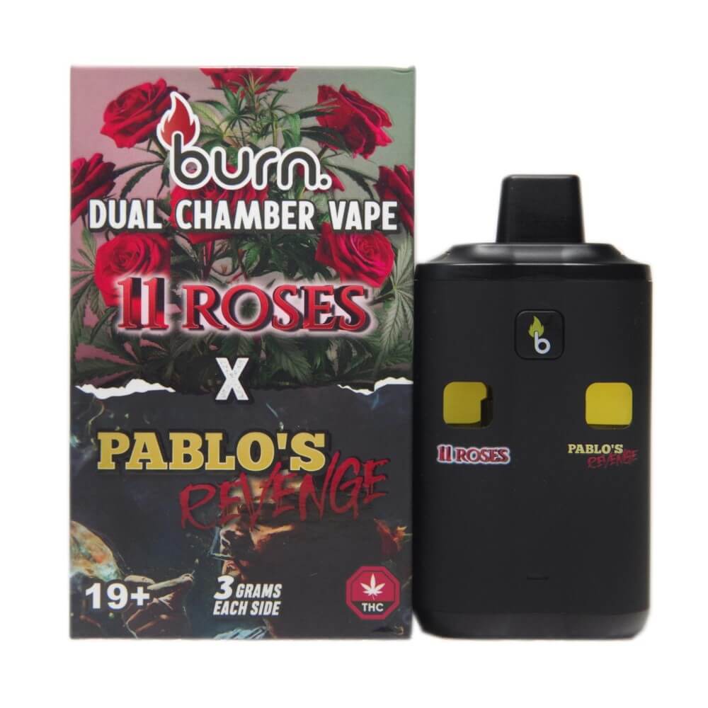 Burn Dual Chamber - THC Disposable Vapes (6G) (3+3 Gram) - Image 25