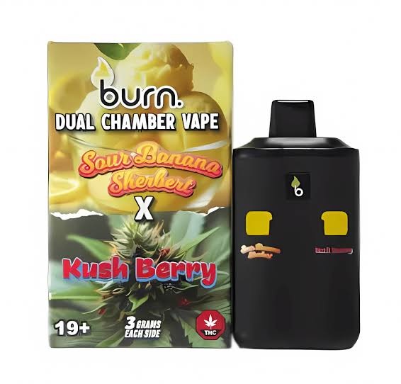 Burn Dual Chamber - THC Disposable Vapes (6G) (3+3 Gram) - Image 24