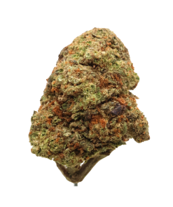 AA SUPER MARIO - Ounce Deals
