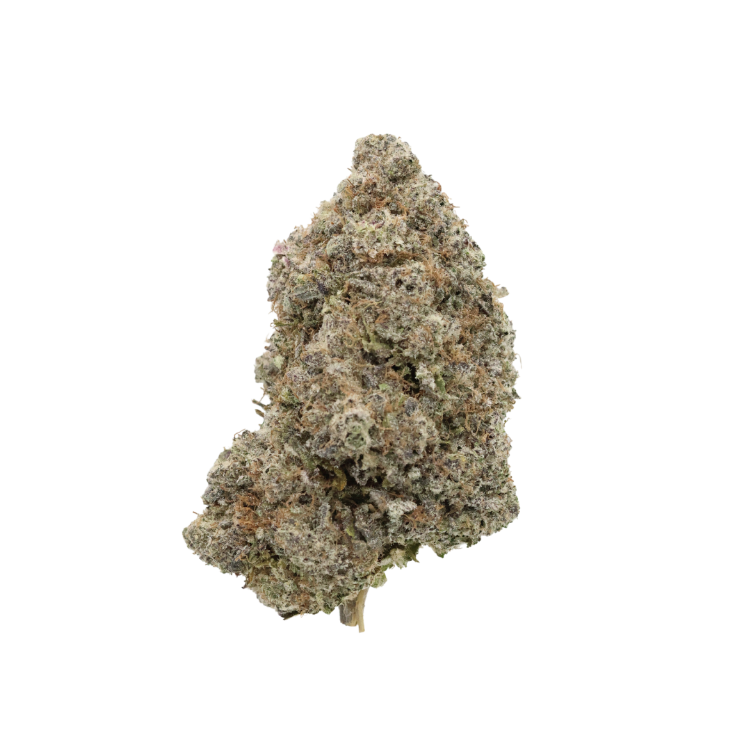 AAA Gelato