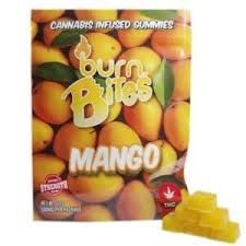 Burn Bites - 500mg (50mg x 10) - Image 8