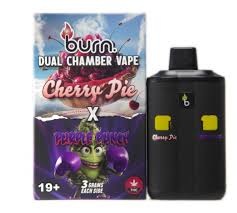 Burn Dual Chamber - THC Disposable Vapes (6G) (3+3 Gram) - Image 12