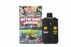 Burn Dual Chamber - THC Disposable Vapes (6G) (3+3 Gram) - Image 16
