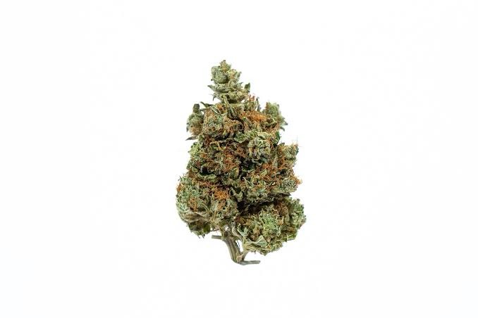 AA Grand Daddy Purple