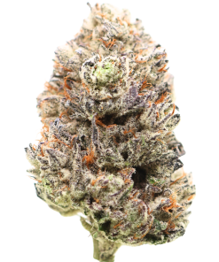 🏆 1st  Place Sativa Cup : AAAAA Amnesia Haze | LSO