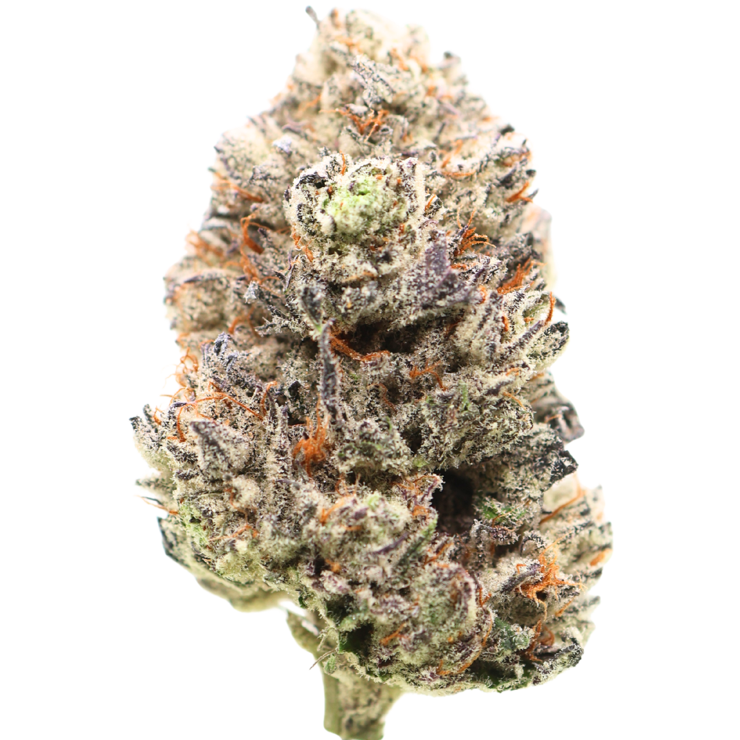 π 1st Place Sativa Cup : AAAAA Amnesia Haze | LSO