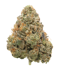 AAAAA Cuban Linx : 🏆Karma Cup Winning Sativa | LSO