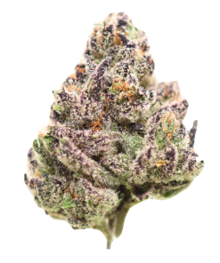 🏆 #1 Unicorn Cup: AAAAA E85 By Grandiflora | LSO