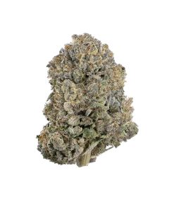 AAAA Pink Chapo By Bubba Kings 💤