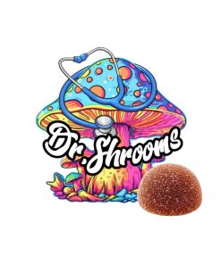 Dr. Shroom – MoonCore™ 1000MG