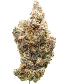 🏆 #1 AAAAA Oklahoma Coma – Karma Cup Winner