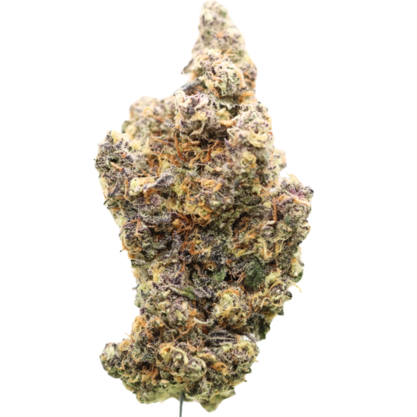 π #1 AAAAA Oklahoma Coma β Karma Cup Winner